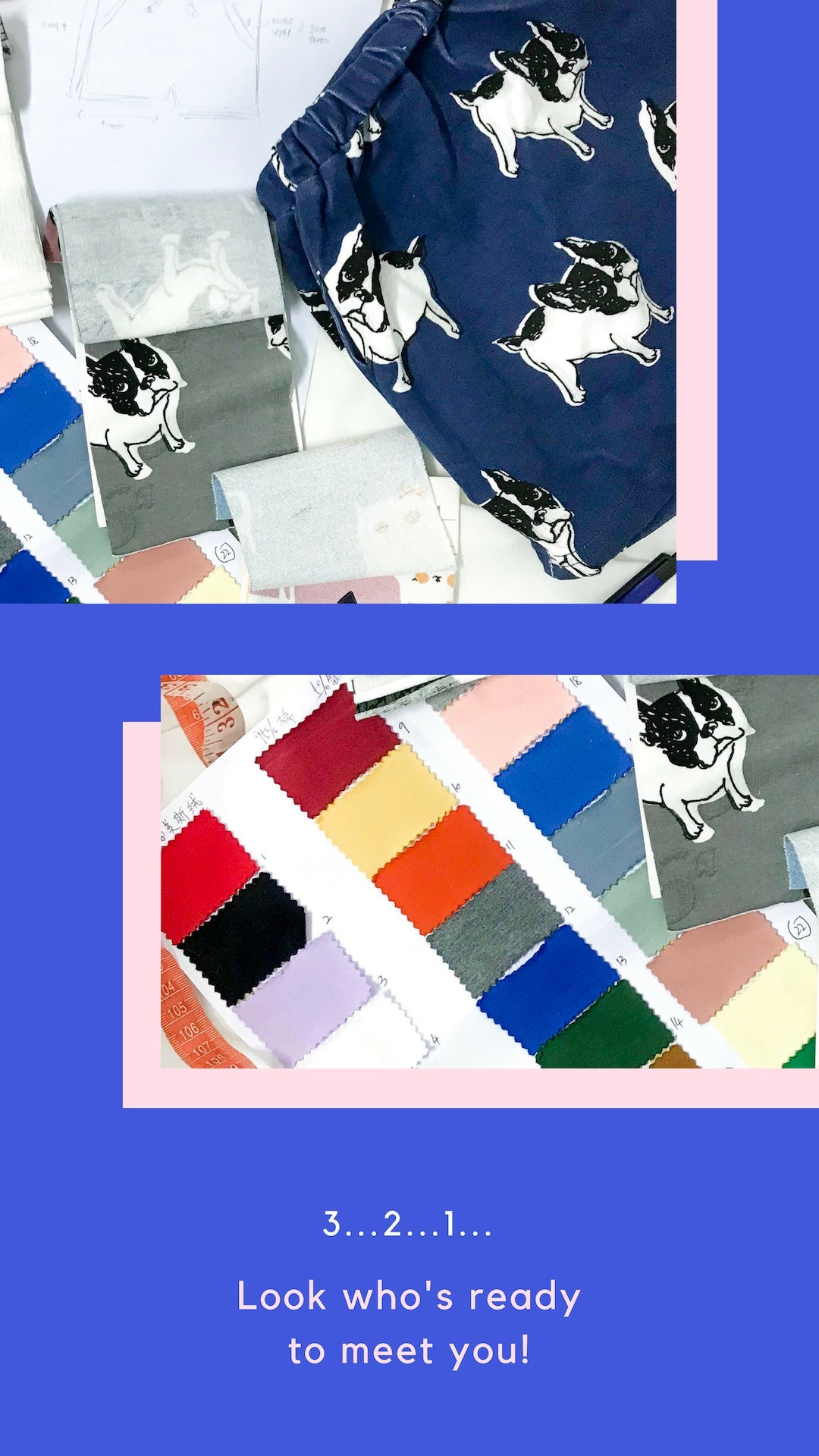 MEET FRENCHIE & FRIENDS